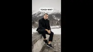 Узнайте, почему токен WXT на взлёте!