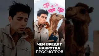 Чем вредит накрутка просмотров в Инстаграм 