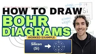 How to Draw a Bohr Diagram  |  Chemistry Homework in 2 MINUTES