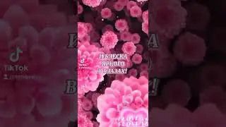 Для тебя! #tatianais #длядрузей #красивоепожелание