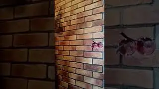 12 июня 2020 г.
