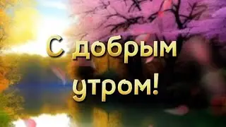 🌇С добрым утром! #утро #пожелание #подпишись #видео #youtube #лето #сдобрымутром