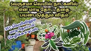 வெயில் நாட்களில் மாடி தோட்டம் செழிப்பாக வளர 