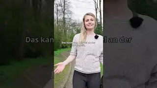 Das Thema vermeiden viele Hundehalter!