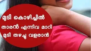 മുടി കൊഴിച്ചിലും താരനും ഇല്ലാതാക്കാൻ ഒറ്റമൂലി  Homemade Natural Conditioners for Healthy Hair