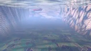 Underwater gazing
