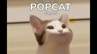 POPCAT(АЙМ ОЛВЭЙС КАМБЭК)