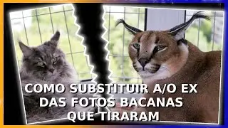 Terminou o namoro e quer substituir a sua ex das fotos legais? Conheça este app