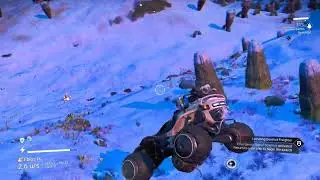 No Man's Sky's Funniest Bugs and Glitches
