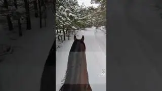 Салават Мухаммад Салалоху аллехи Васаллам 