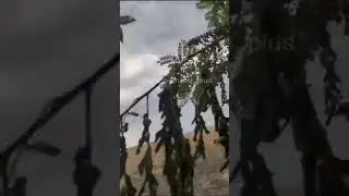 Джавелин что-то уничтожает