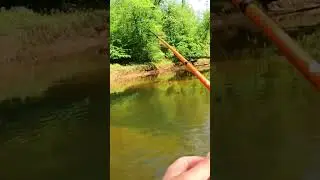 Chattahoochee Bass Hole