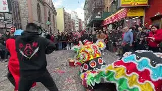 Chinese New Year NYC 2025