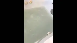 Jetted Tub Deep Clean