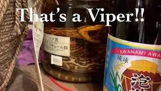 Okinawa Viper Sake Costs ¥143,000! Lunch in Machida