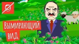 Лукашенко: Я последний в Европе! Меня спасать надо!