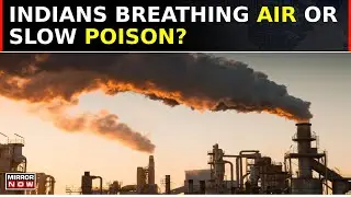 Air Pollution In India Increases Risk Of Death Across All Age Groups, Reveals Study | Top News