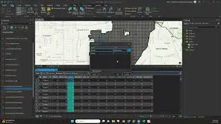 ArcGIS Pro: Custom Sort
