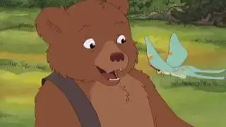 O passeio do pequeno urso