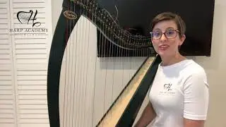 Dusty Strings Ravenna string change (from nylon to gut strings) WARM SOUND!!
