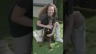 Dog Love Funny Video: Playing and Receiving Love from My Dog