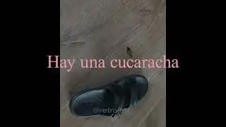 Jeff - Una Cucaracha Metida en mi Chancla (original mix)  (lyrics video)