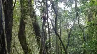 Field work compilation