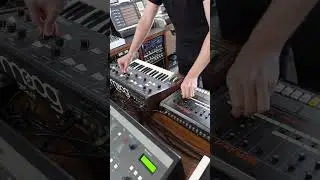 Shame Spirals - Video Burnout #samplesfrommars #moogprodigy #tr808 #analogmusic