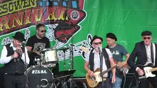 The Shambolics "I'm A Believer"  Halesowen Carnival Highfields Park