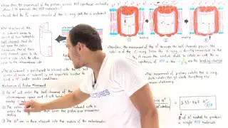 Proton Movement in ATP Synthase