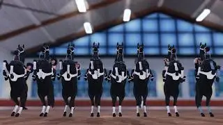 Mamma Mia | SSO Dressage Routine