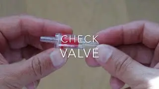 Check valve