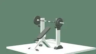 Gym Activities 🏋️‍♂️ - #48