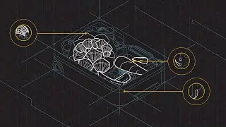 Wildlife Xray 2D Animated Video | NGO Organization Animation (WWF)🐼