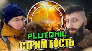 ВОПРОС - ОТВЕТ с Pluto и Friggi 🔴 ROKOT Live 🔴  Viking Rise #vikingrise