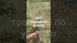 Начинаю строить новый дом