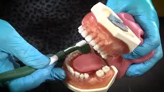 How to Use a Three-Sided Toothbrush