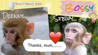 Where's my place in my mum's ❤️ ?
