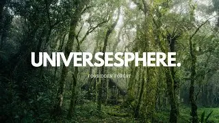 LarsM - Forbidden Forest [Royalty Free Ambience]
