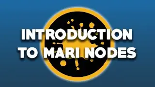 Introduction To Mari Nodes: Everything You Need To Know To Start Your Project