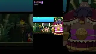 Tree Town Chief in Shantae and the Seven Sirens