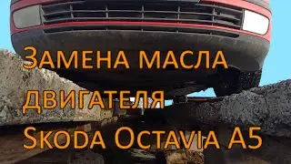 Замена масла двигателя на Шкода Октавия (Skoda Octavia A5)