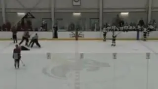 Community College Hockey Player Slams Ref To The Ice During National Title Game