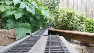 0 gauge in the garden; the Class 101 rides again
