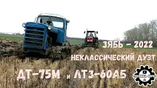 Старый ДТ-75 и ЛТЗ-60 пашут вместе. Осень 2022 года. Необычный дуэт в поле