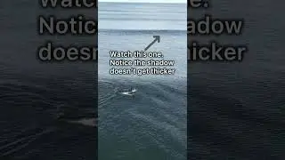 Read ANY Wave FAST 