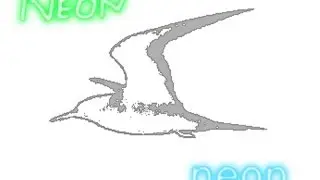 Put neon text onto a photo or image