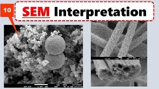 SEM Micrographs Interpretation in Experimental paper:  Scanning Electron Microscopy SEM Analysis