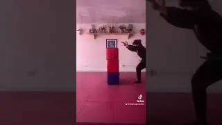 Hicho kaiten .  #youtubeshorts #ninjatraining #artesmarciales #bujinkan #ninjutsuparatodos