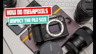 How do megapixels impact the file size and storage requirements of photos